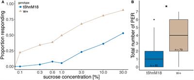 Octopamine and Tyramine Contribute Separately to the Counter-Regulatory Response to Sugar Deficit in Drosophila